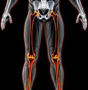 male body xray with legs highlighted